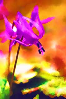 illust, materiell, befreit, Landschaft, Bild, Gemlde, Farbbleistift, Wachsmalstift, Zeichnung,,Japanisch Hundes Zahn violett Blumen, Erythronium, , Ken Kyoko, 