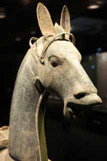 fotografia, material, livra, ajardine, imagine, proveja fotografia,Bronze Horse, China antiga, Bronzeie esttua, Veculos, Cavalo