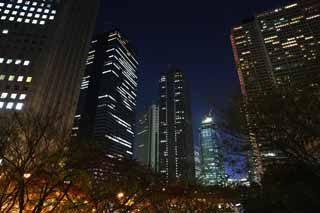 Foto, materieel, vrij, landschap, schilderstuk, bevoorraden foto,Shinjuku bij nacht, Hoog, Subcenter, Tokio Metropolitan Government, Gebouw