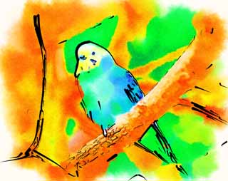 illustration,material,free,landscape,picture,painting,color pencil,crayon,drawing,Budgerigar, Parakeet, This meteoric, , Wing