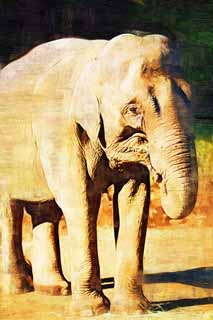 Illust, materieel, vrij, landschap, schilderstuk, schilderstuk, kleuren potlood, crayon, werkje,Indische olifant, Indiaan olifants, Olifants, , Ht Olifants