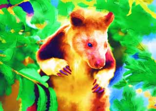 illustration,material,free,landscape,picture,painting,color pencil,crayon,drawing,Tree-kangaroo, Kangaroo, New Guinea, , Endangered species