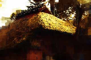 illust, materiale, libero panorama, ritratto dipinto, matita di colore disegna a pastello, disegnando,YUKA nel padiglione Kinkakuji, Eredit di Mondo, Padiglione dorato, T, Kyoto