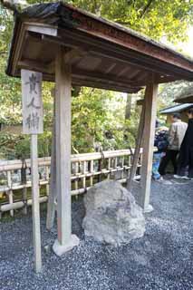 photo,material,free,landscape,picture,stock photo,Creative Commons,Pavilion Kinkakuji, World Heritage, Golden Pavilion, Tea, Kyoto