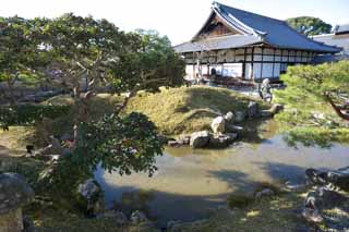 Foto, materiell, befreit, Landschaft, Bild, hat Foto auf Lager,Kodaiji Temple Gardens, , , Volle Mondeinheiten, 