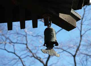 photo,material,free,landscape,picture,stock photo,Creative Commons,Wind Bell in To-ji Temple, Buddhism, , Temple bell, 