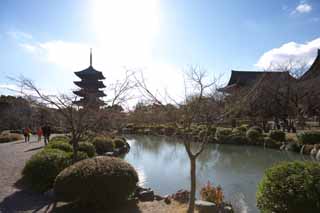 Foto, materiell, befreit, Landschaft, Bild, hat Foto auf Lager,To-ji Tempel, Buddhismus, Turm, Welterbe, Fnffacher Turm