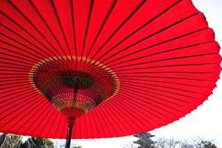 fotografia, material, livra, ajardine, imagine, proveja fotografia,Kazu Miyako cpula, Guarda-chuva, O guarda-chuva de Kyoto, Roupa de chuva, Artes e artes