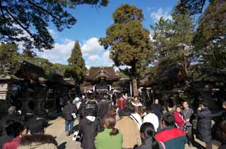 photo,material,free,landscape,picture,stock photo,Creative Commons,Kitano Tenman-gu shrine approach, Gates Sankou, Mr. TENJIN, Kitano, Plums