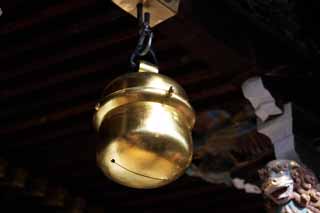 photo,material,free,landscape,picture,stock photo,Creative Commons,Kitano Tenman-gu shrine's main hall bell, Bell, Noisemaker, Kitano, Plums