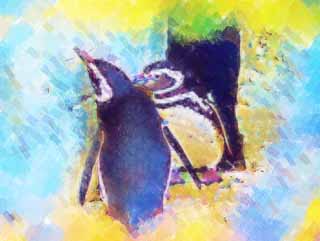 illustration,material,free,landscape,picture,painting,color pencil,crayon,drawing,Magellanic penguins, PEN Ginga, Penguin, Bill, Wings