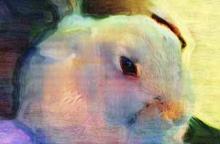 illustration,material,free,landscape,picture,painting,color pencil,crayon,drawing,Bunny, Rabbit, , , Healing