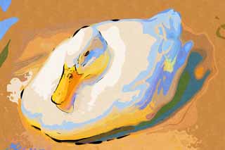 illustration,material,free,landscape,picture,painting,color pencil,crayon,drawing,Ducks, AHIRU, Ducks, Canard, White