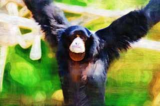 illustration,material,free,landscape,picture,painting,color pencil,crayon,drawing,Siamang, Curious, Monkeys, SHIAMAN, S. syndactylus