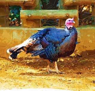 illustration,material,free,landscape,picture,painting,color pencil,crayon,drawing,Turkey, Wild turkey, , Christmas dishes, Ham