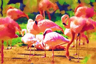 illust, materiell, befreit, Landschaft, Bild, Gemlde, Farbbleistift, Wachsmalstift, Zeichnung,,Ein Flamingo, Flamingo, Ein Bein, Salzen Sie See, Purpurrot