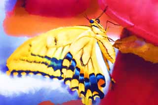 illust, materiale, libero panorama, ritratto dipinto, matita di colore disegna a pastello, disegnando,Una coda forcuta gialla e comune, farfalla, , , Polvere di fosforo