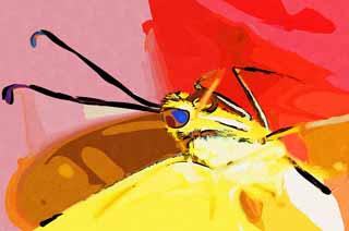 illust, materiell, befreit, Landschaft, Bild, Gemlde, Farbbleistift, Wachsmalstift, Zeichnung,,Ein gewhnlicher gelber Schwalbenschwanz, Schmetterling, , , Zusammengesetzte Augen