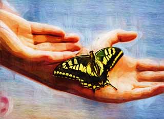 Illust, materieel, vrij, landschap, schilderstuk, schilderstuk, kleuren potlood, crayon, werkje,Stuk met een gemeenschappelijk geel swallowtail, Gemeenschappelijk geel swallowtail, Swallowtail vlinder, , Veren