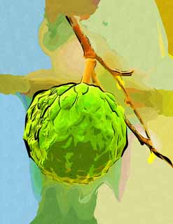 illustration,material,free,landscape,picture,painting,color pencil,crayon,drawing,Sweetsop, Flesh of fruit, Fruit, , Food
