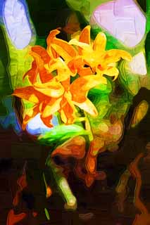 illust, matire, libre, paysage, image, le tableau, crayon de la couleur, colorie, en tirant,Une orchide jaune, orchide, , Une orchide, Jardiner