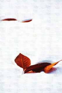 illust, matire, libre, paysage, image, le tableau, crayon de la couleur, colorie, en tirant,C'est rpandez les feuilles par la neige, La neige, Feuilles mortes, arbre de la cerise, Hokkaido