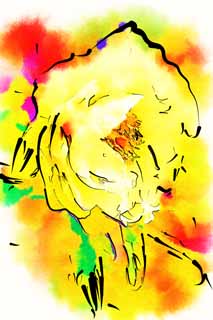 illust, materiale, libero panorama, ritratto dipinto, matita di colore disegna a pastello, disegnando,La peonia di Tempio di Hase-dera, peonia, bottone, , Mitera del fiore