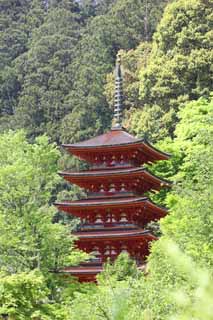 Foto, materieel, vrij, landschap, schilderstuk, bevoorraden foto,Vijf Storeyed Pagoda van Hase-dera Tempel, Ik word in rood geschilderd, Van hout gebouw, Chaitya, Mitera van de bloem