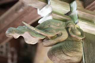 Foto, materiell, befreit, Landschaft, Bild, hat Foto auf Lager,Das Bild des Elefanten von Hase-dera Temple, Ein Elefant, Holzschnitzerei, Chaitya, Mitera der Blume