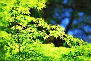 illustration,material,free,landscape,picture,painting,color pencil,crayon,drawing,The season of the fresh green, Early summer, bud, The fresh green, leaf