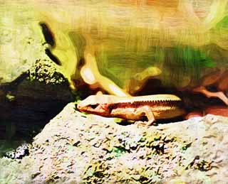 illust, materiale, libero panorama, ritratto dipinto, matita di colore disegna a pastello, disegnando,Una lucertola giapponese, serpente di kana, lucertola, , piccolo animale