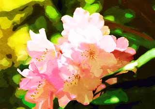 illust, matire, libre, paysage, image, le tableau, crayon de la couleur, colorie, en tirant,Un rhododendron, , Une azale, Je suis magnifique, Masami