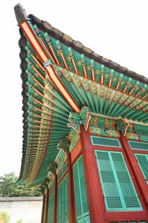 photo, la matire, libre, amnage, dcrivez, photo de la rserve,Le toit du temple Akitoku, La Cour Impriale architecture, carreau, Coloris Riche, patrimoine de l'humanit