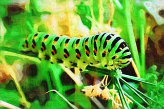 Illust, materieel, vrij, landschap, schilderstuk, schilderstuk, kleuren potlood, crayon, werkje,De larve van ht gemeenschappelijk geel swallowtail, Vlinder, , Groene rups, 