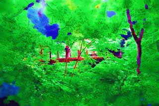 illust, materiale, libero panorama, ritratto dipinto, matita di colore disegna a pastello, disegnando,Un ponte di bascule di Mt. Takao, ponte di sospensione, filo, foresta, Andando in gita