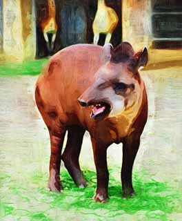 illust, matire, libre, paysage, image, le tableau, crayon de la couleur, colorie, en tirant,Un tapir amricain, tapir, rve, Une oreille, dfense