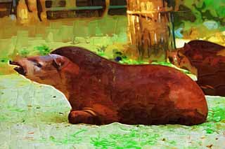 illust, materiale, libero panorama, ritratto dipinto, matita di colore disegna a pastello, disegnando,Un tapiro americano, tapiro, sogno, Un orecchio, Sonnolenza