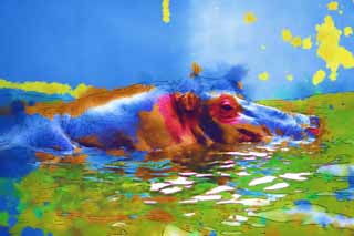 illustration,material,free,landscape,picture,painting,color pencil,crayon,drawing,A hippopotamus, hippopotamus, Hippo, Amiability, grazing animal