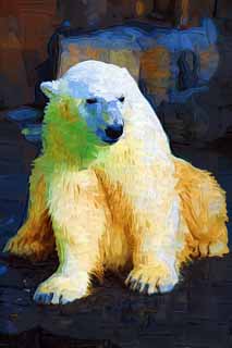 illust, material, livram, paisagem, quadro, pintura, lpis de cor, creiom, puxando,Um urso branco, urso, urso branco, urso de margem, Ferocidade