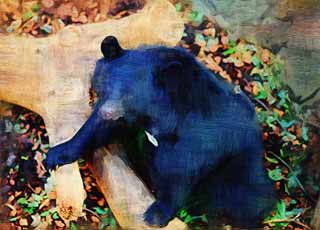 illust, matire, libre, paysage, image, le tableau, crayon de la couleur, colorie, en tirant,Un ours du noir asiatique japonais, ours, , , Frocit