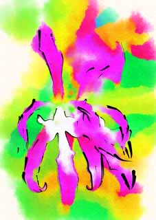 illust, materiale, libero panorama, ritratto dipinto, matita di colore disegna a pastello, disegnando,Orchidea di Epidendrum, Garofano, Un'orchidea, Infiorescenza, La zona tropicale