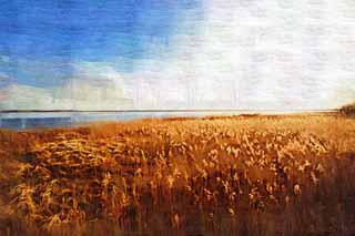 Illust, materieel, vrij, landschap, schilderstuk, schilderstuk, kleuren potlood, crayon, werkje,De vochtigheid vlakte van de Lake Uto Ney, Vochtigheid maalde, Vochtigheid vlakte, Maak gras droog, Blauwe lucht