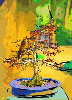 illust, matire, libre, paysage, image, le tableau, crayon de la couleur, colorie, en tirant,Un bonsai coren, bonsai, plante de jardin, Jardiner, Art