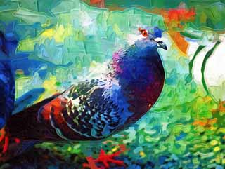 illust, matire, libre, paysage, image, le tableau, crayon de la couleur, colorie, en tirant,Un pigeon domestique, colombe, , , aile