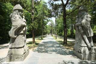 foto,tela,gratis,paisaje,fotografa,idea,Ming Xiaoling Mausoleum viejo hombre Shinto de camino de relacin, Se queda, Estatua de piedra, Un enfoque para un santuario, Herencia de mundo