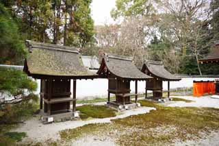Foto, materiell, befreit, Landschaft, Bild, hat Foto auf Lager,Shimogamo Shrine Gesellschaft Mitsui Corporation, Eine Opferungskiste, hlzernes Gebude, rotes Paar von Steinhterhunden, Metallzubehr des Geldes