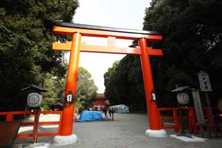 Foto, materieel, vrij, landschap, schilderstuk, bevoorraden foto,Shimogamo Heiligdom bedrijf torii, Shinto, Voorkoming tegen kwaad, Terrein, Shinto heiligdom poort