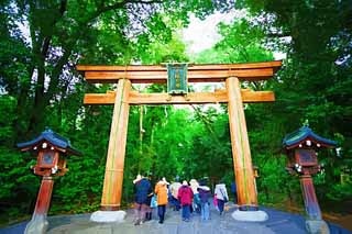 illust, , , , , ,  ,  , .,torii  Omiwa shrines, Shinto,   , Precincts, Shinto shrine 