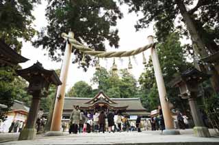 foto,tela,gratis,paisaje,fotografa,idea,Santuario santuario principal de Omiwa, Shinto, Prevencin en contra del mal, Recinto, Adoracin