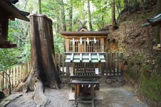 , , , , ,  .,Omiwa shrine   Shinto shrine, Shinto  festoon,   , Precincts, Shinto